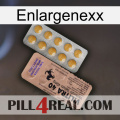 Enlargenexx 41